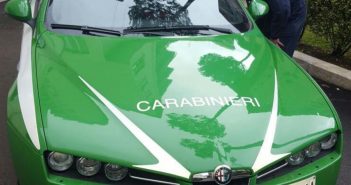 Concorso Carabinieri: Pubblicato il bando per 11 tenenti Guardia Forestale